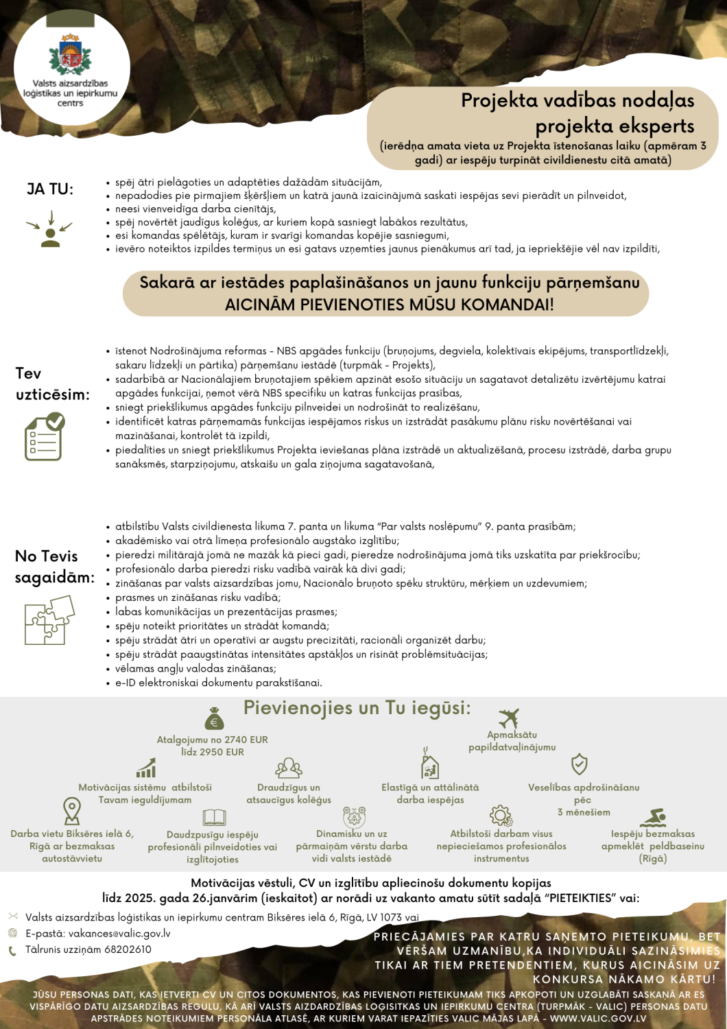 projekta eksperts